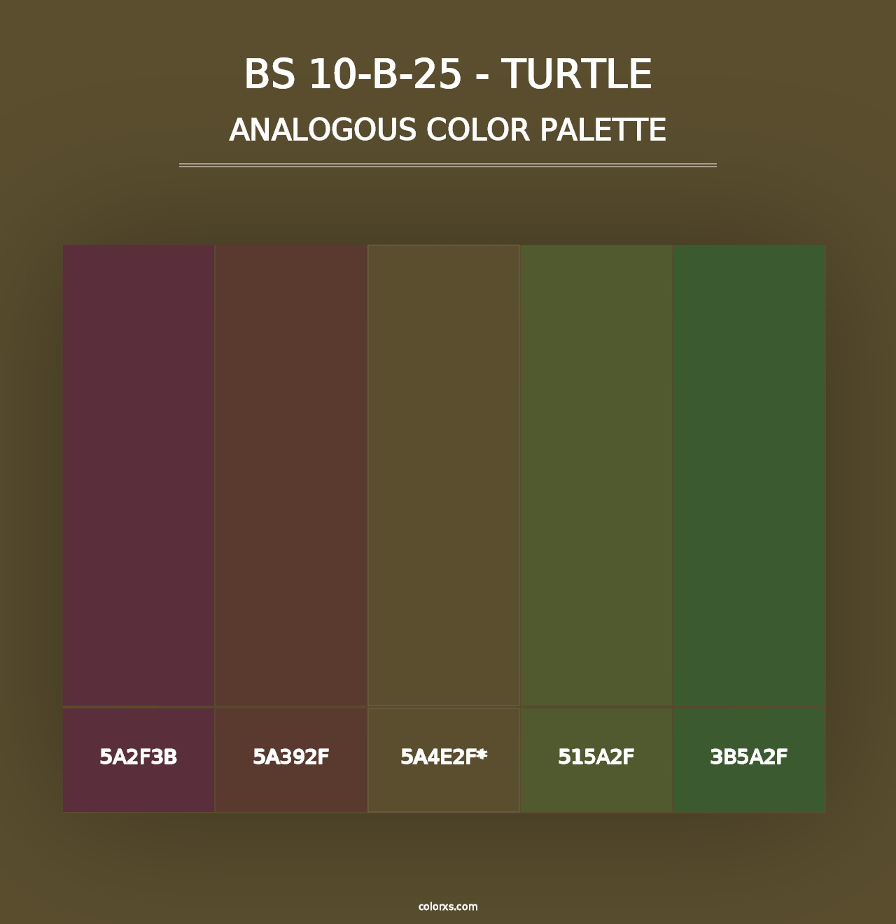 BS 10-B-25 - Turtle - Analogous Color Palette