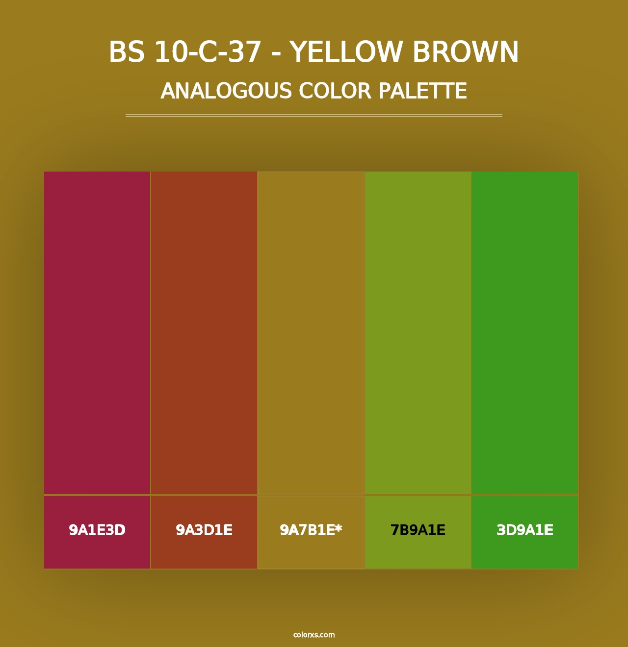 BS 10-C-37 - Yellow Brown - Analogous Color Palette