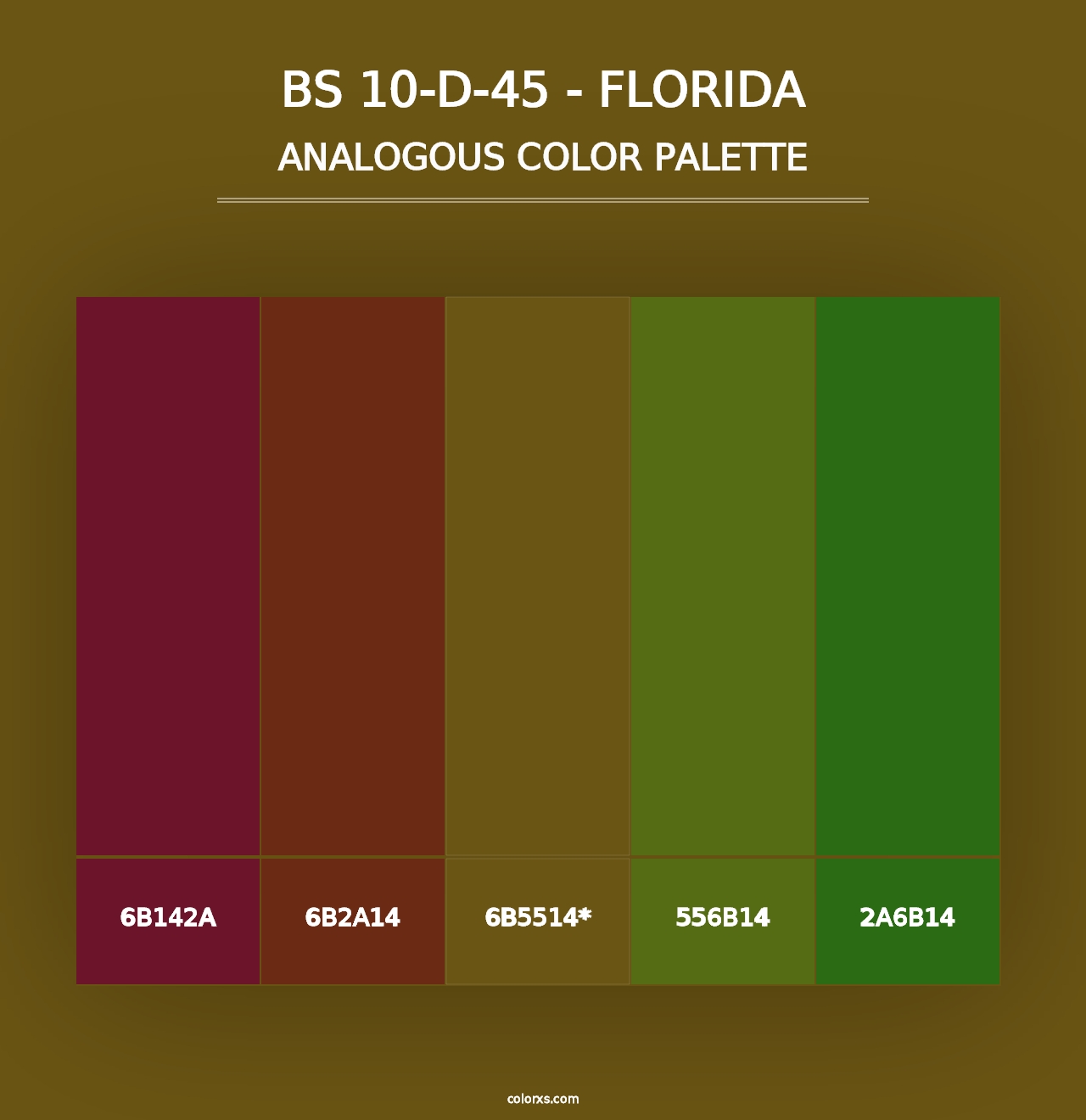 BS 10-D-45 - Florida - Analogous Color Palette