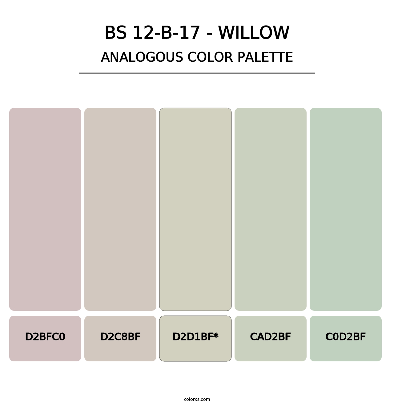 BS 12-B-17 - Willow - Analogous Color Palette