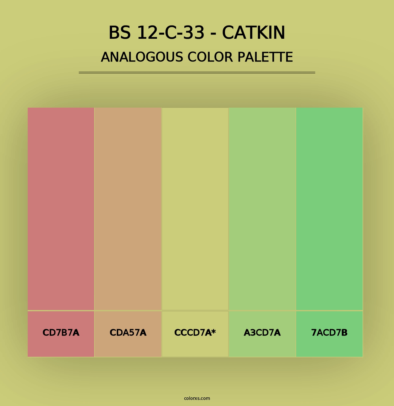 BS 12-C-33 - Catkin - Analogous Color Palette