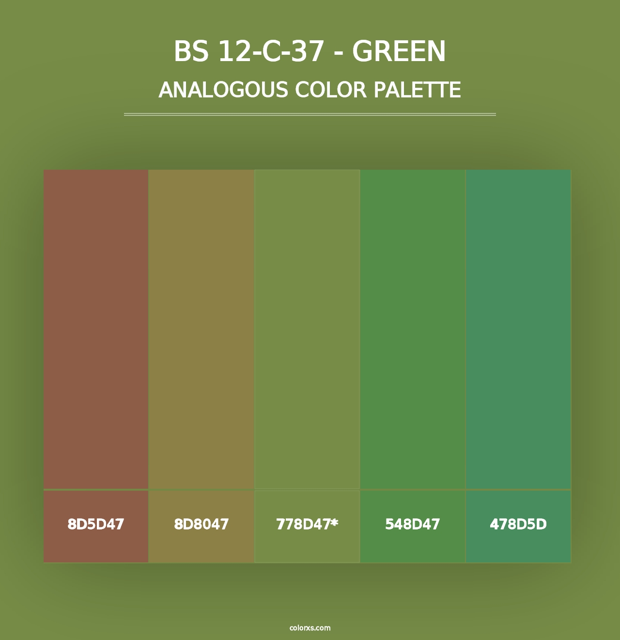 BS 12-C-37 - Green - Analogous Color Palette