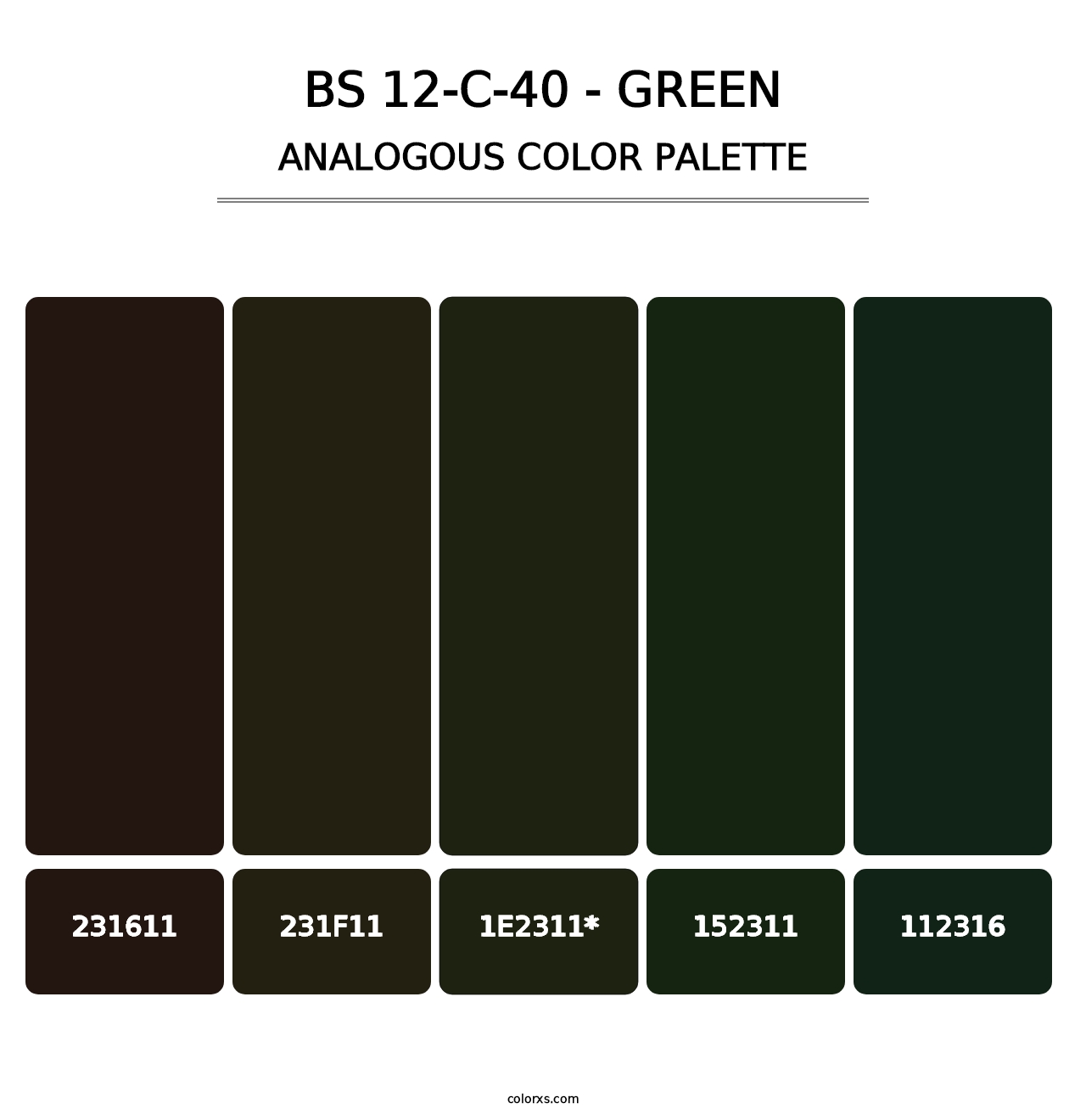 BS 12-C-40 - Green - Analogous Color Palette