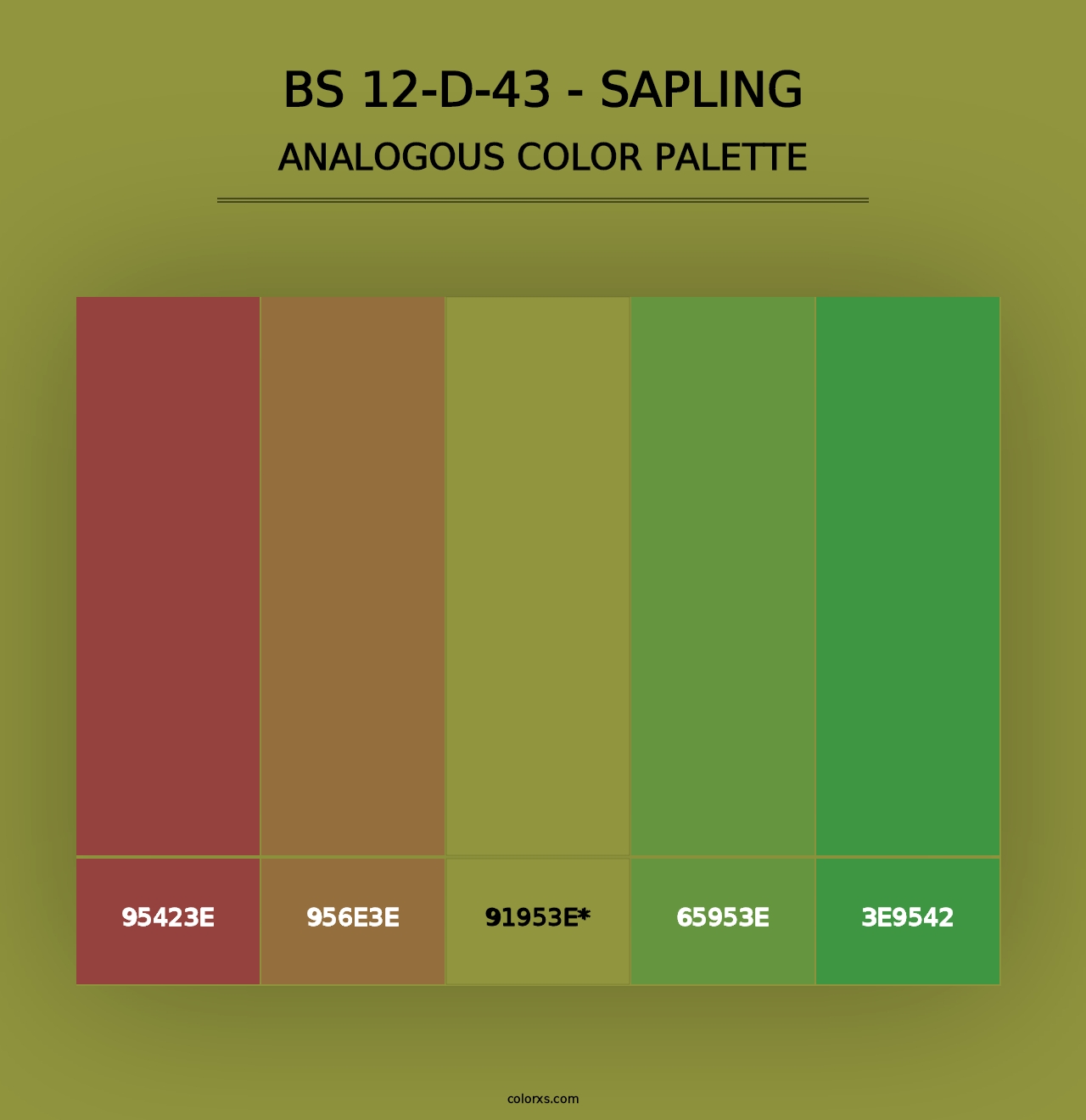 BS 12-D-43 - Sapling - Analogous Color Palette