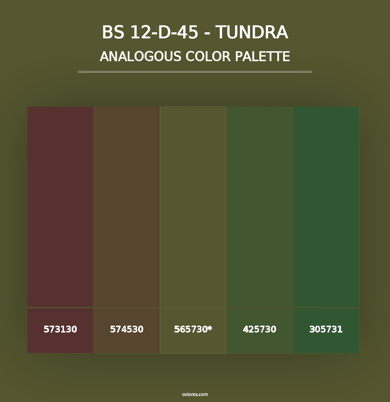 BS 12-D-45 - Tundra - Analogous Color Palette