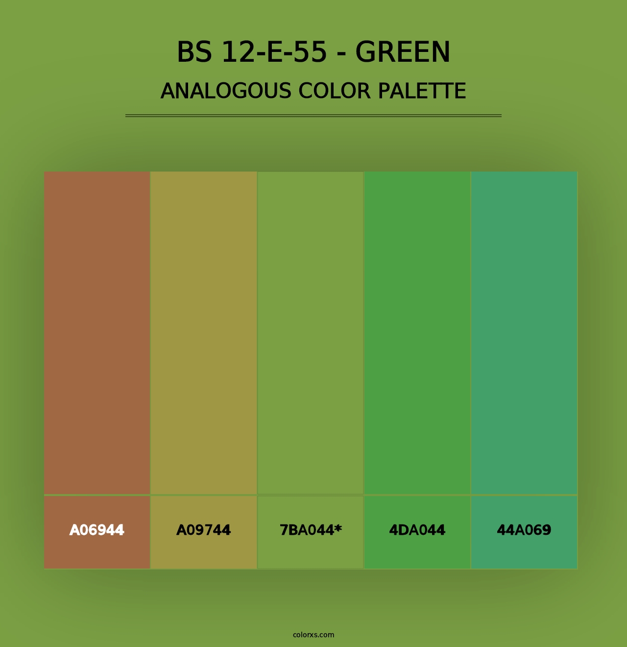 BS 12-E-55 - Green - Analogous Color Palette