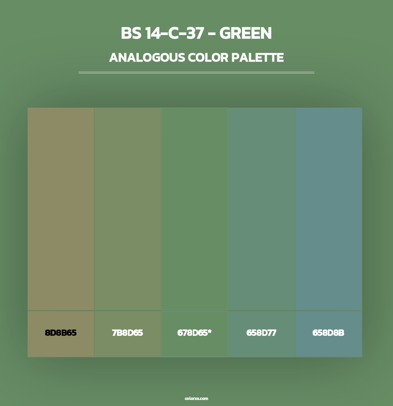 BS 14-C-37 - Green - Analogous Color Palette