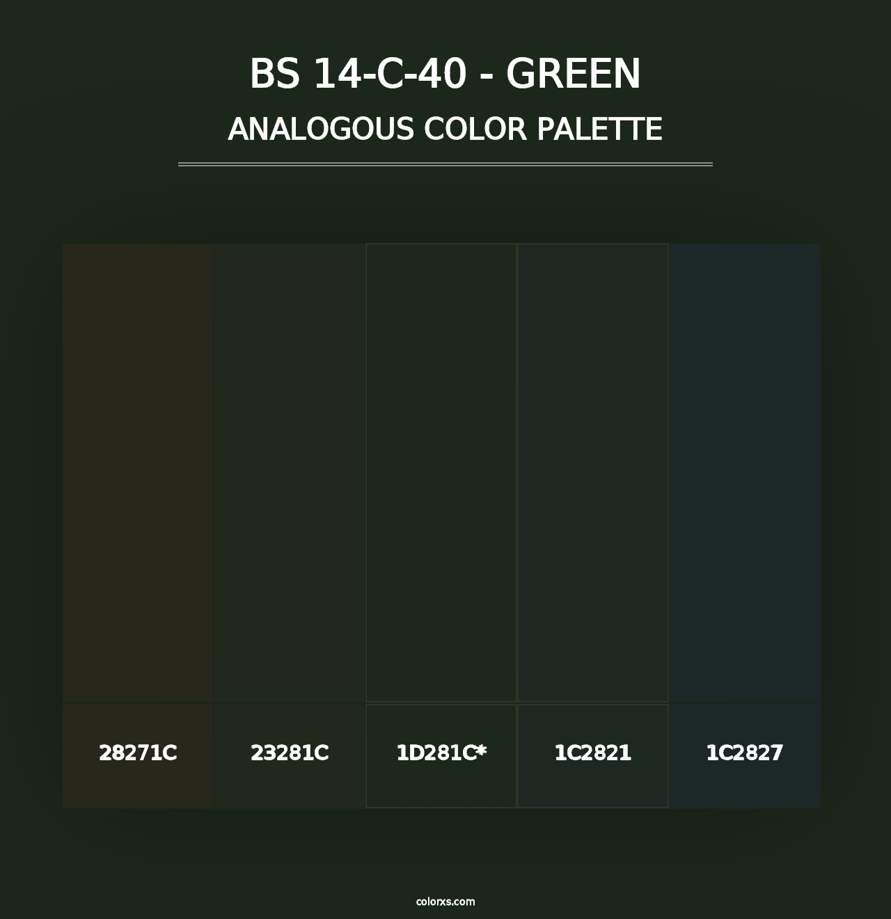 BS 14-C-40 - Green - Analogous Color Palette