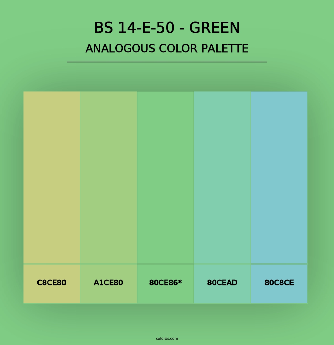 BS 14-E-50 - Green - Analogous Color Palette