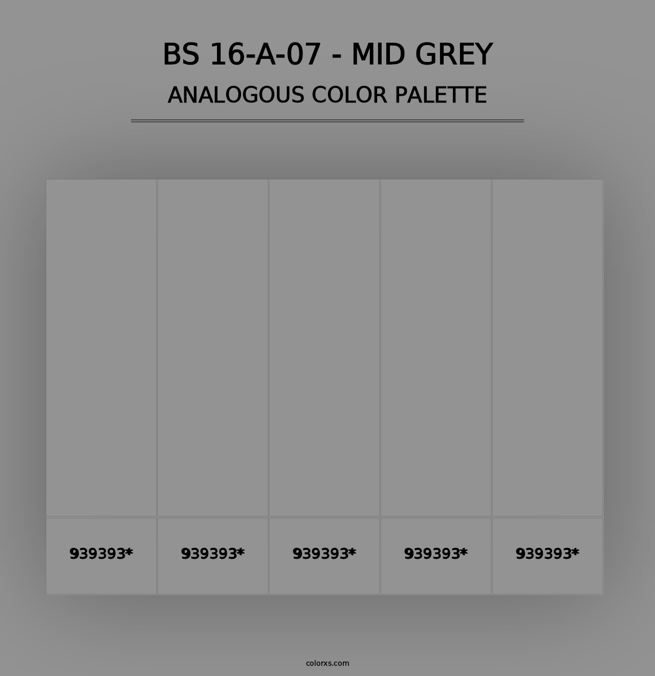 BS 16-A-07 - Mid Grey - Analogous Color Palette