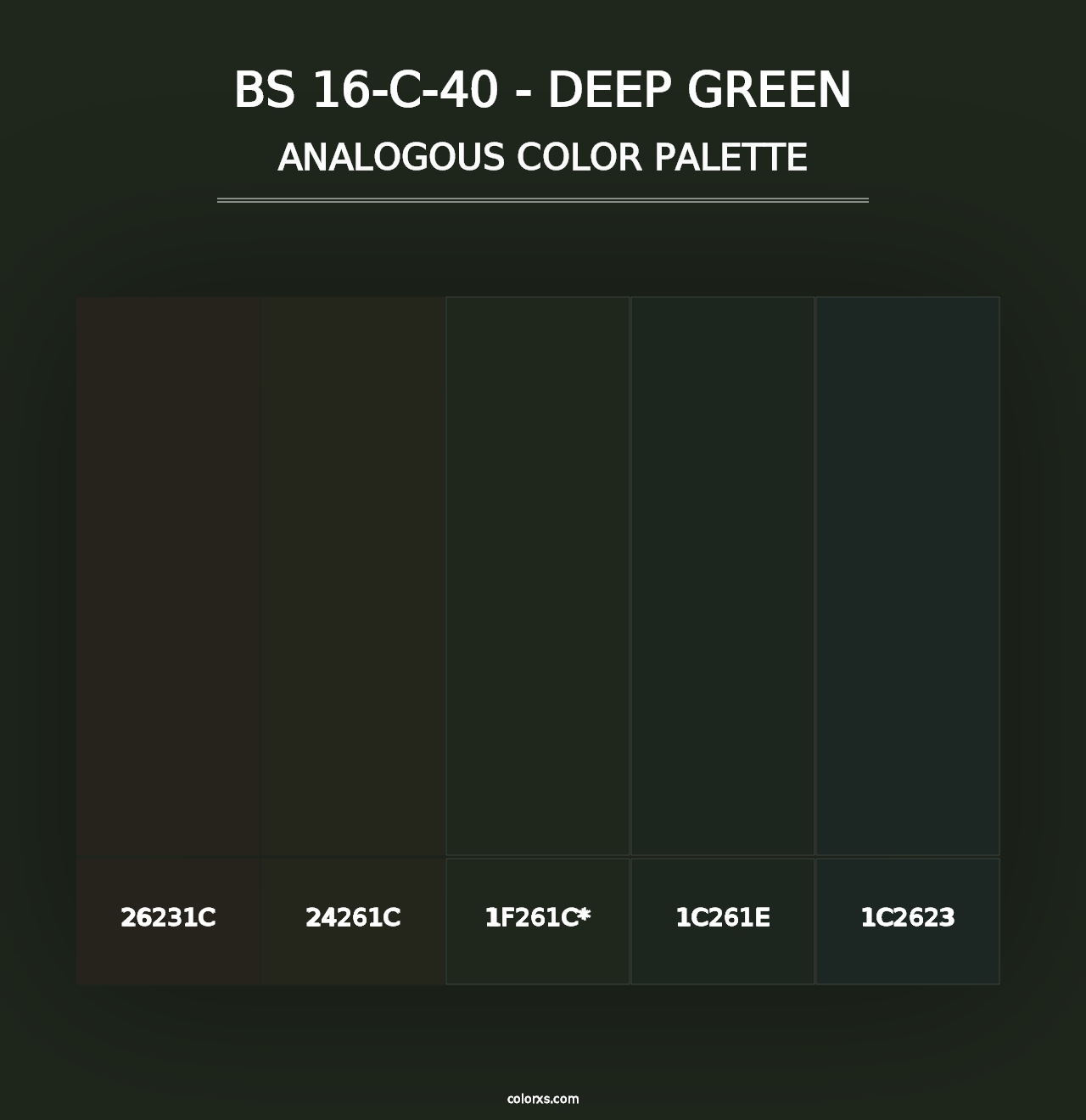 BS 16-C-40 - Deep Green - Analogous Color Palette