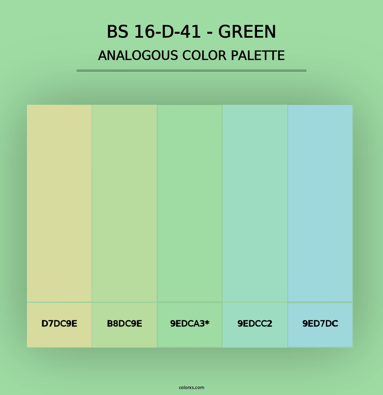 BS 16-D-41 - Green - Analogous Color Palette