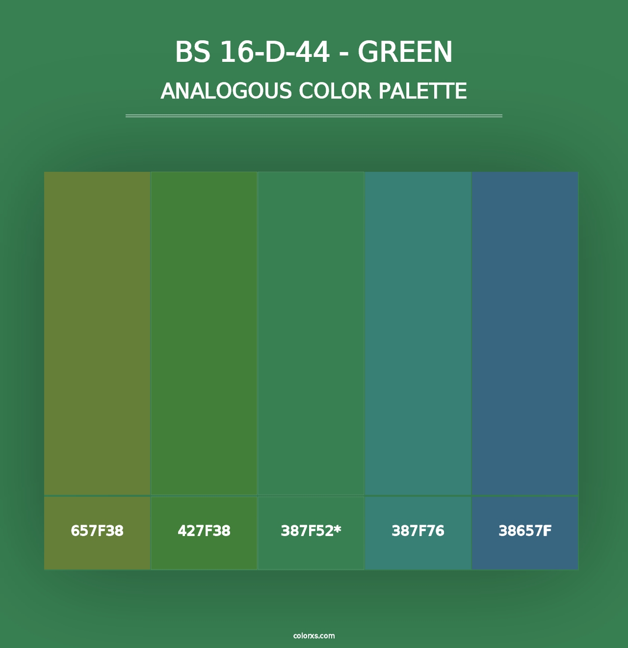 BS 16-D-44 - Green - Analogous Color Palette