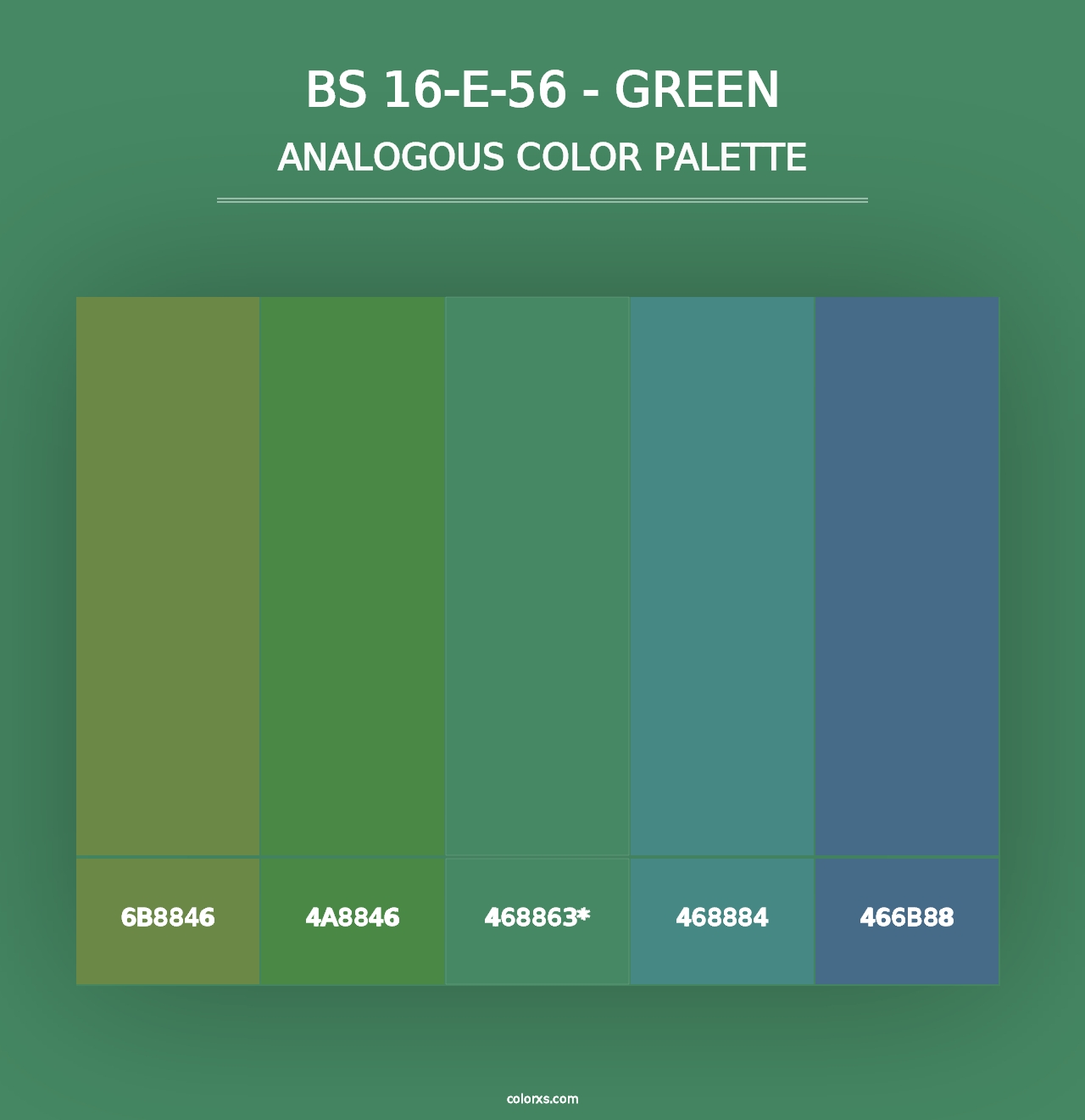 BS 16-E-56 - Green - Analogous Color Palette