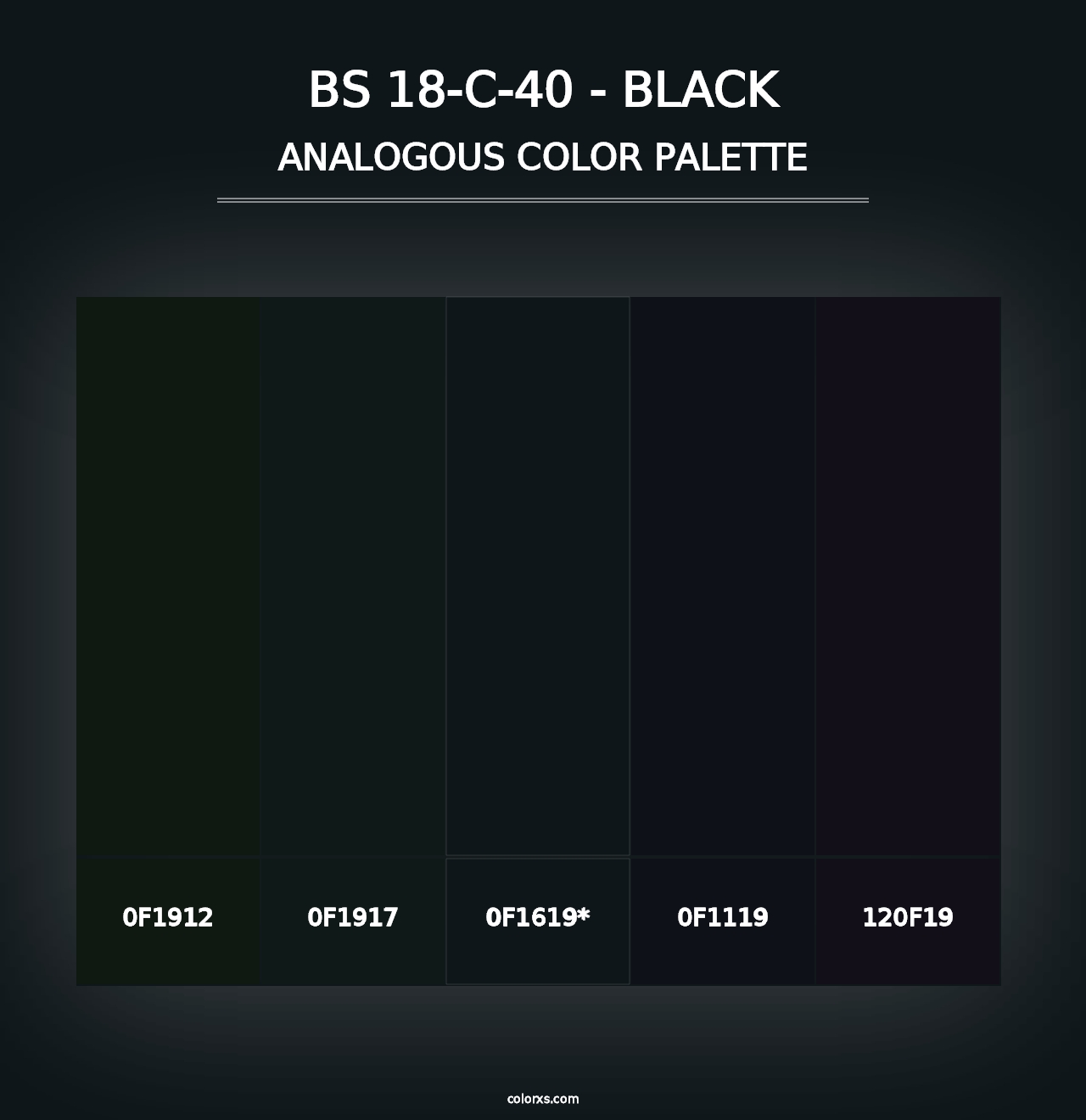 BS 18-C-40 - Black - Analogous Color Palette