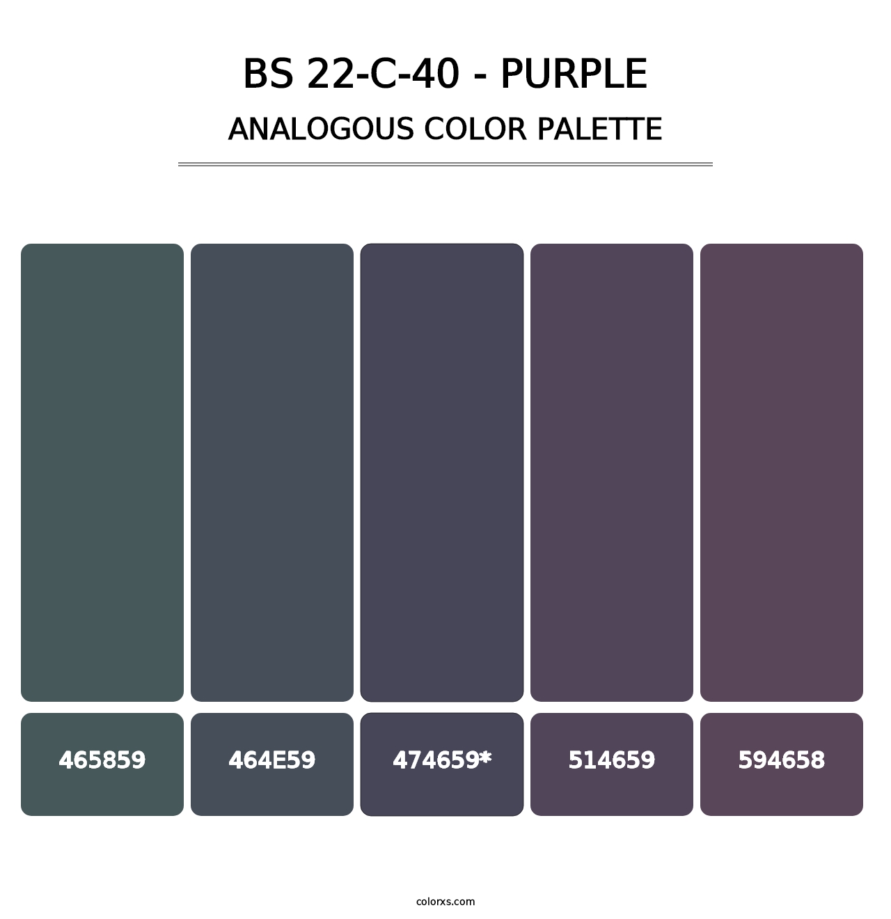 BS 22-C-40 - Purple - Analogous Color Palette