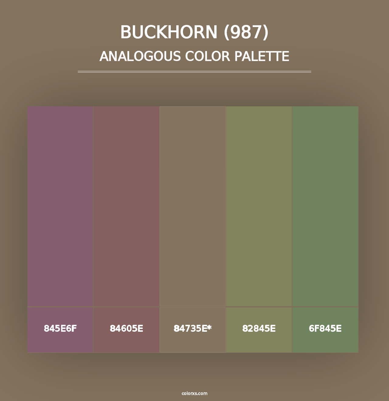 Buckhorn (987) - Analogous Color Palette