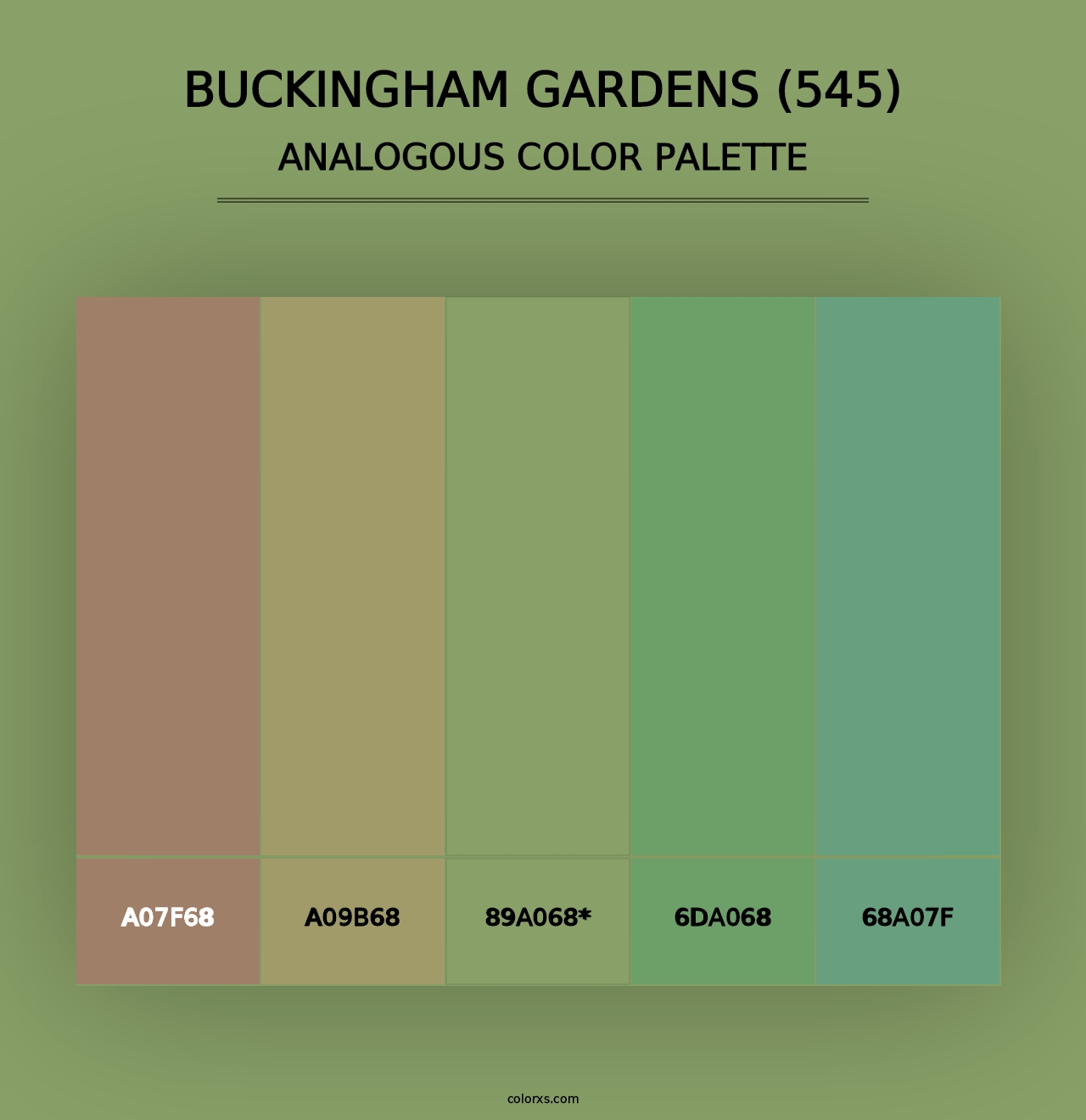 Buckingham Gardens (545) - Analogous Color Palette