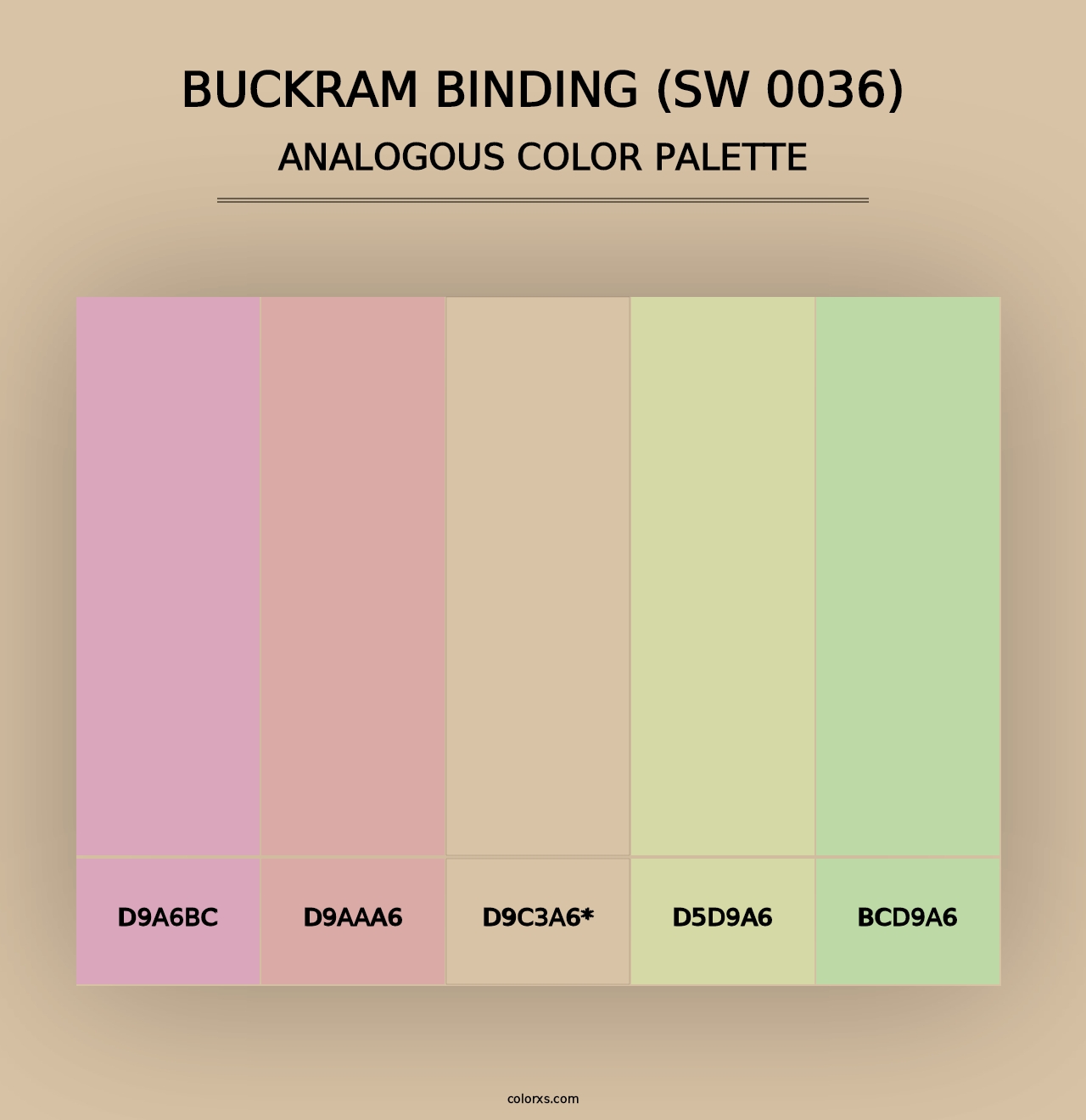 Buckram Binding (SW 0036) - Analogous Color Palette