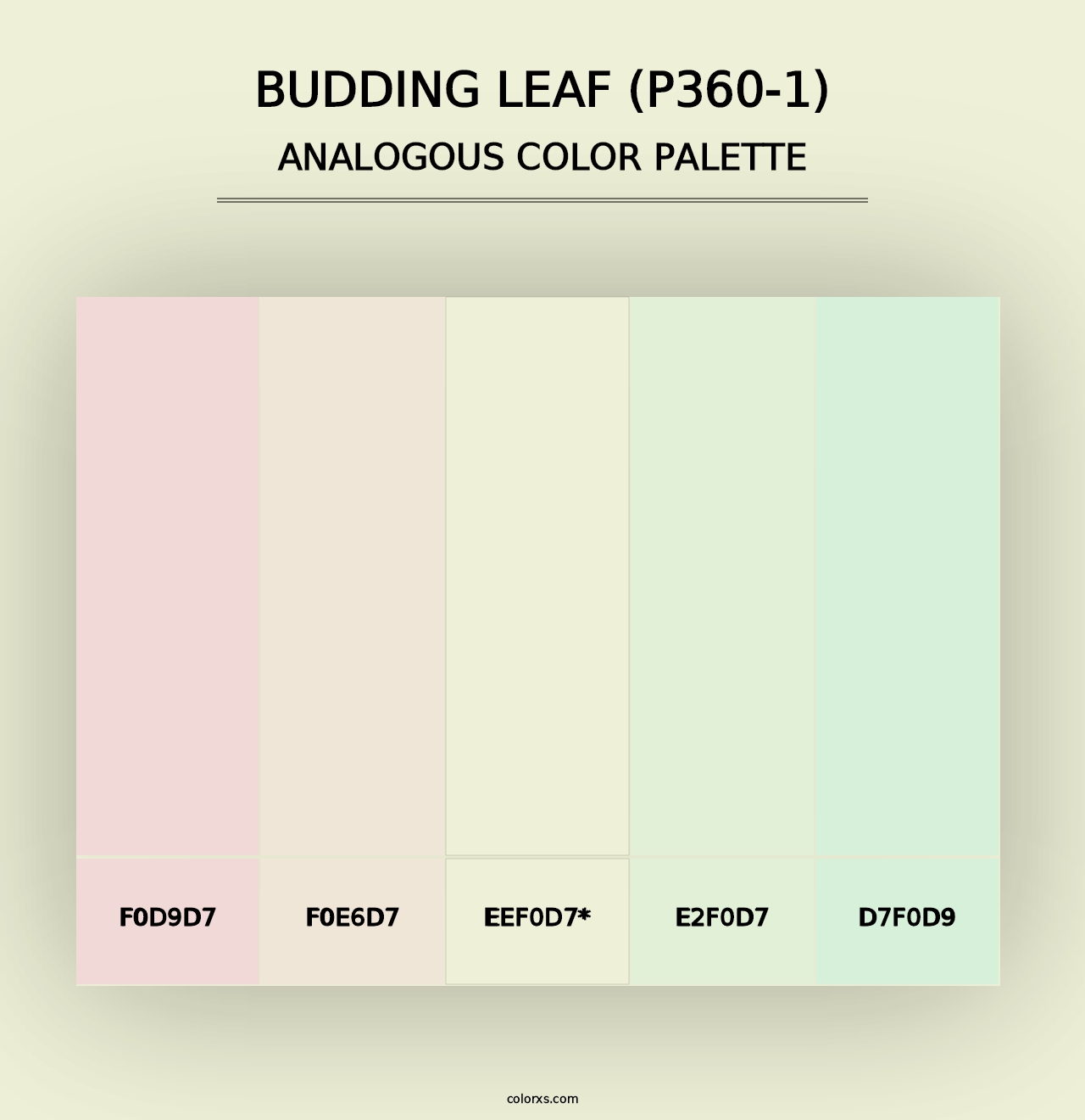 Budding Leaf (P360-1) - Analogous Color Palette