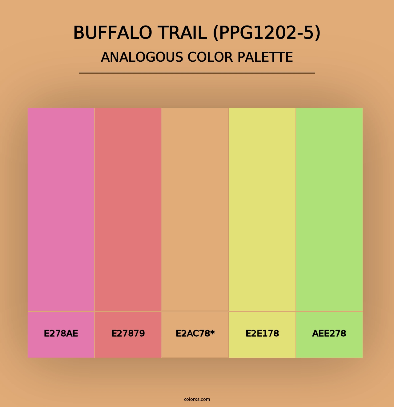 Buffalo Trail (PPG1202-5) - Analogous Color Palette