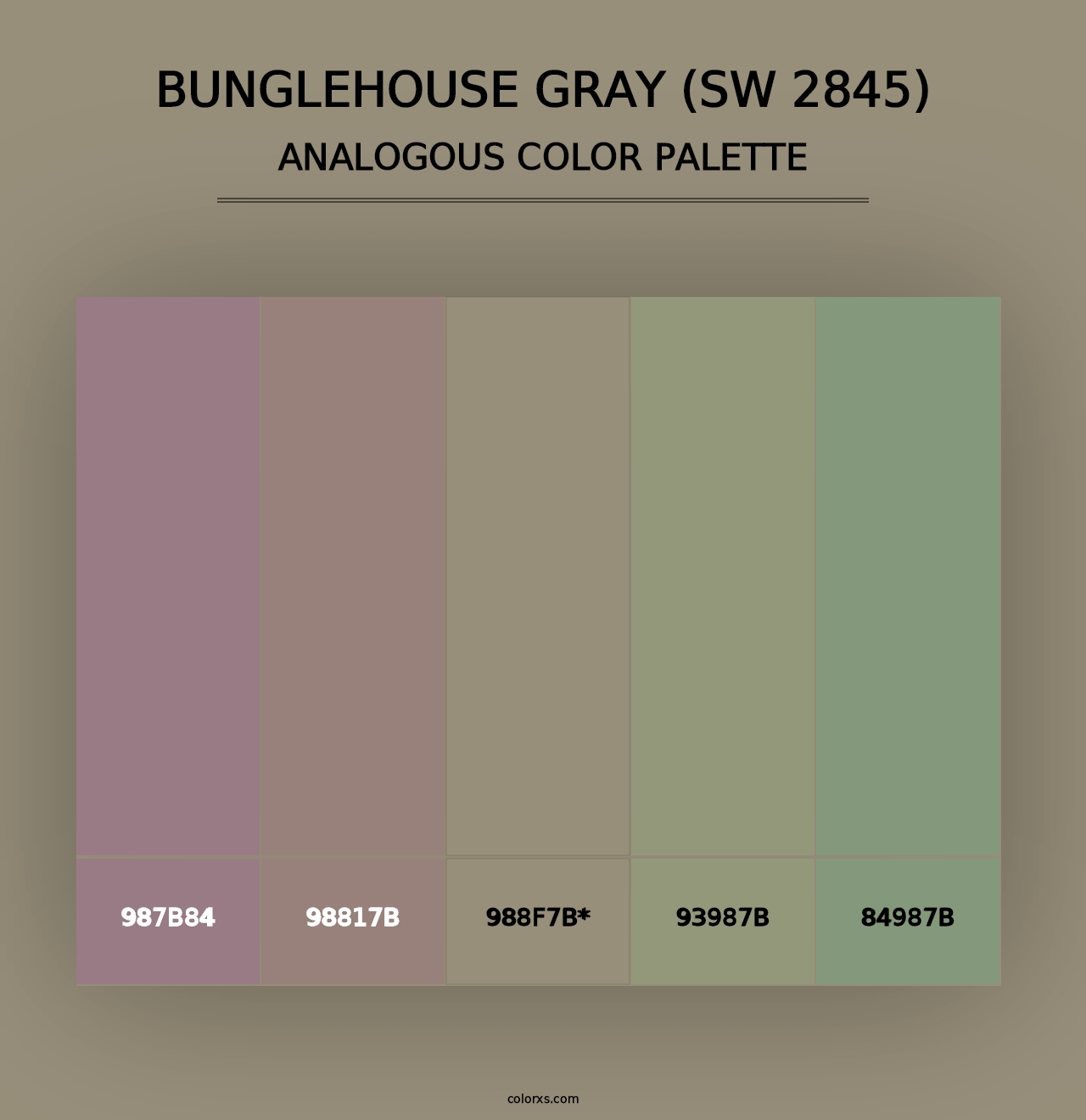 Bunglehouse Gray (SW 2845) - Analogous Color Palette