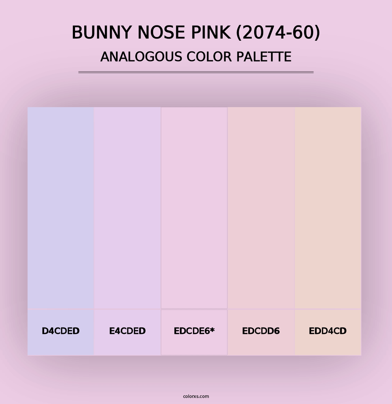 Bunny Nose Pink (2074-60) - Analogous Color Palette