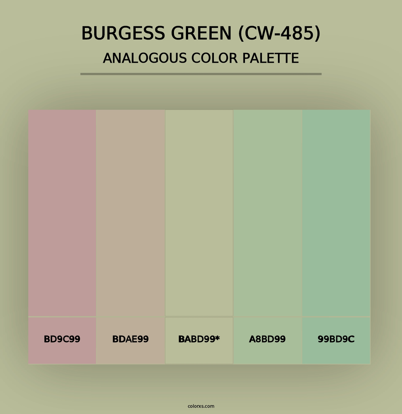 Burgess Green (CW-485) - Analogous Color Palette