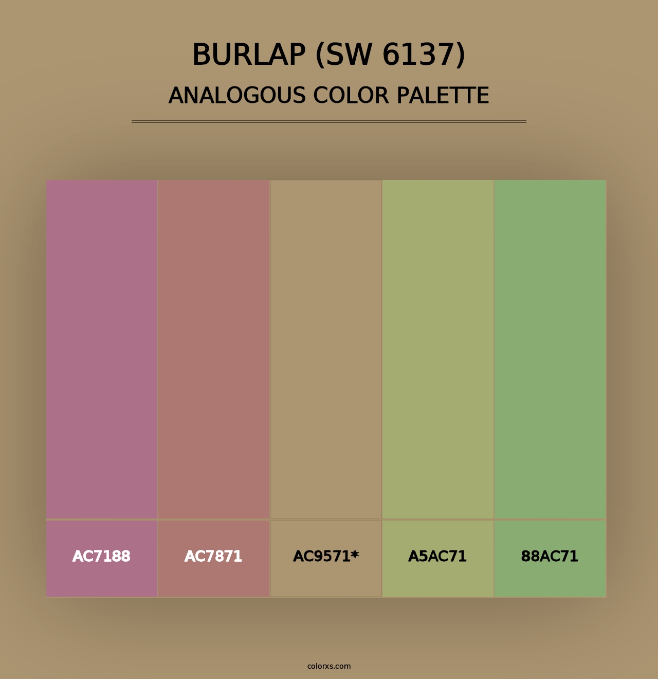 Burlap (SW 6137) - Analogous Color Palette