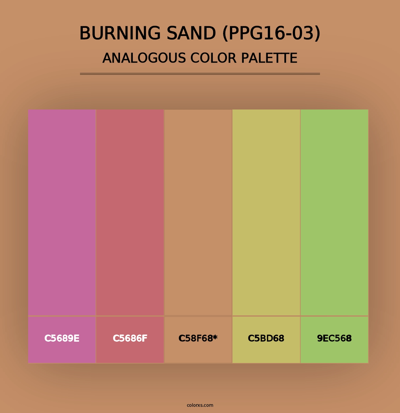 Burning Sand (PPG16-03) - Analogous Color Palette