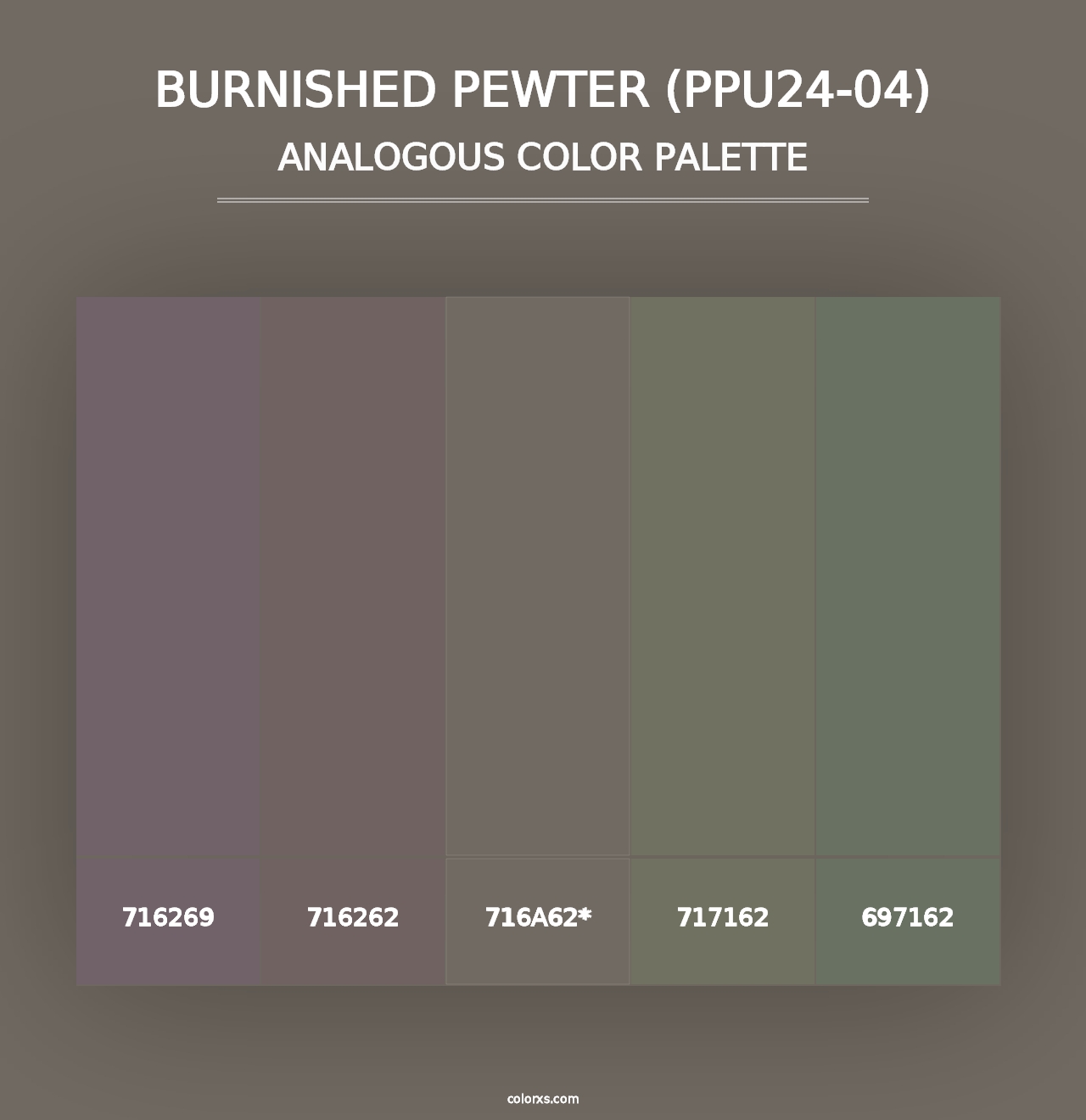 Burnished Pewter (PPU24-04) - Analogous Color Palette