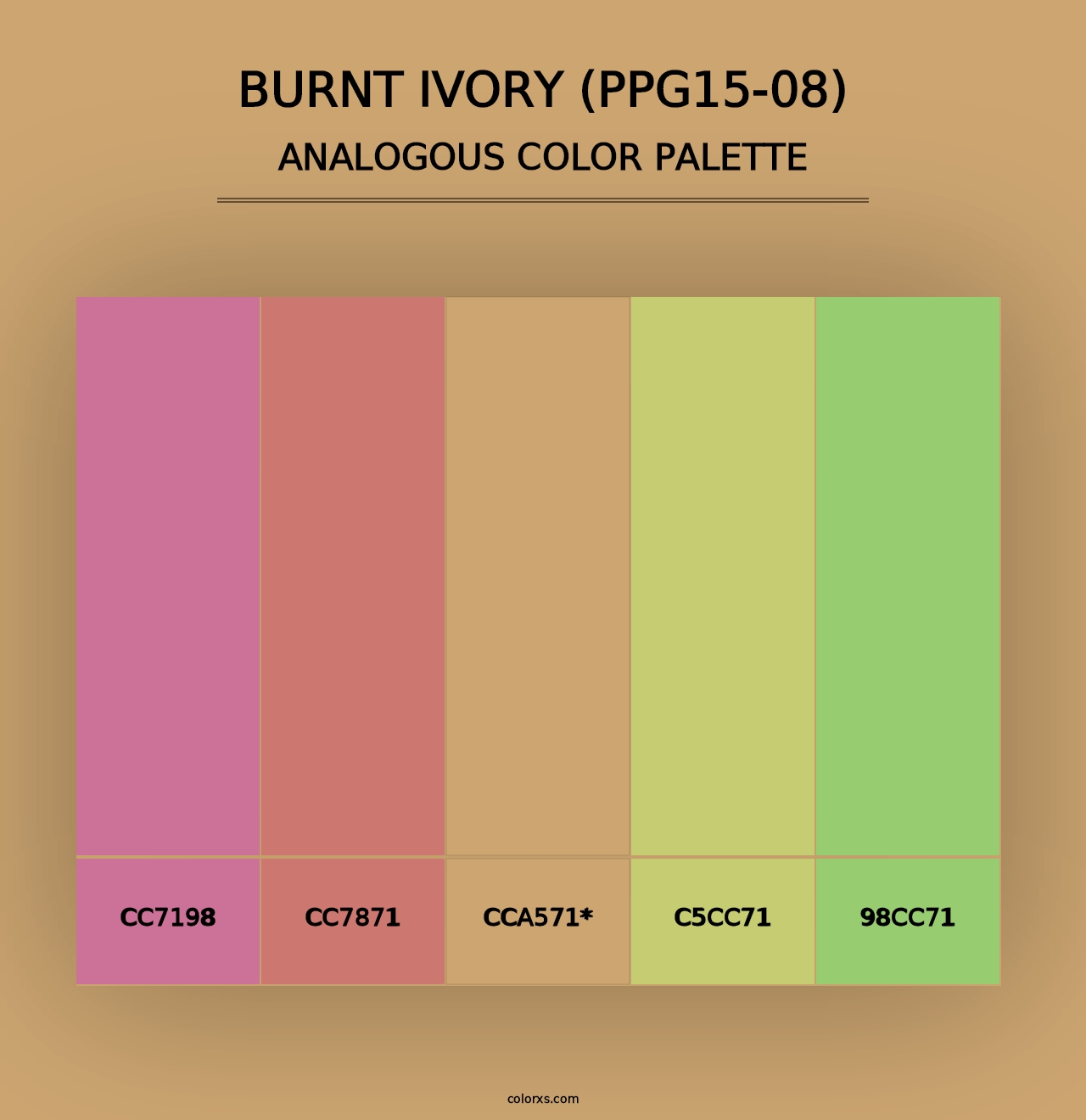 Burnt Ivory (PPG15-08) - Analogous Color Palette