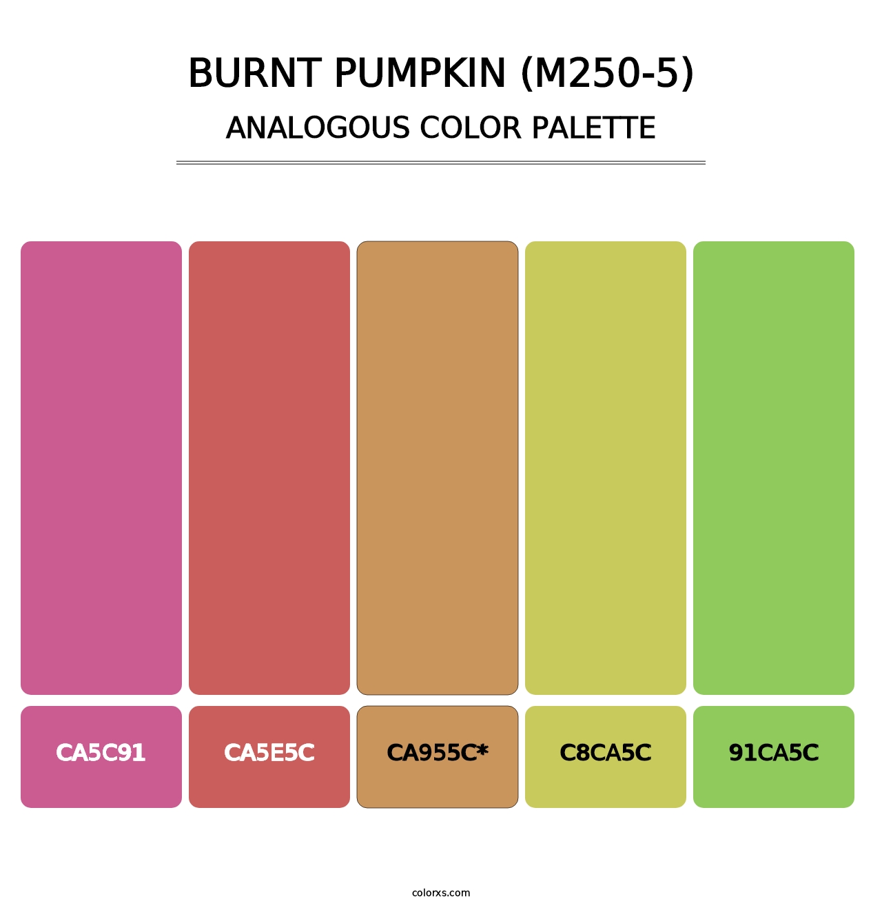 Burnt Pumpkin (M250-5) - Analogous Color Palette