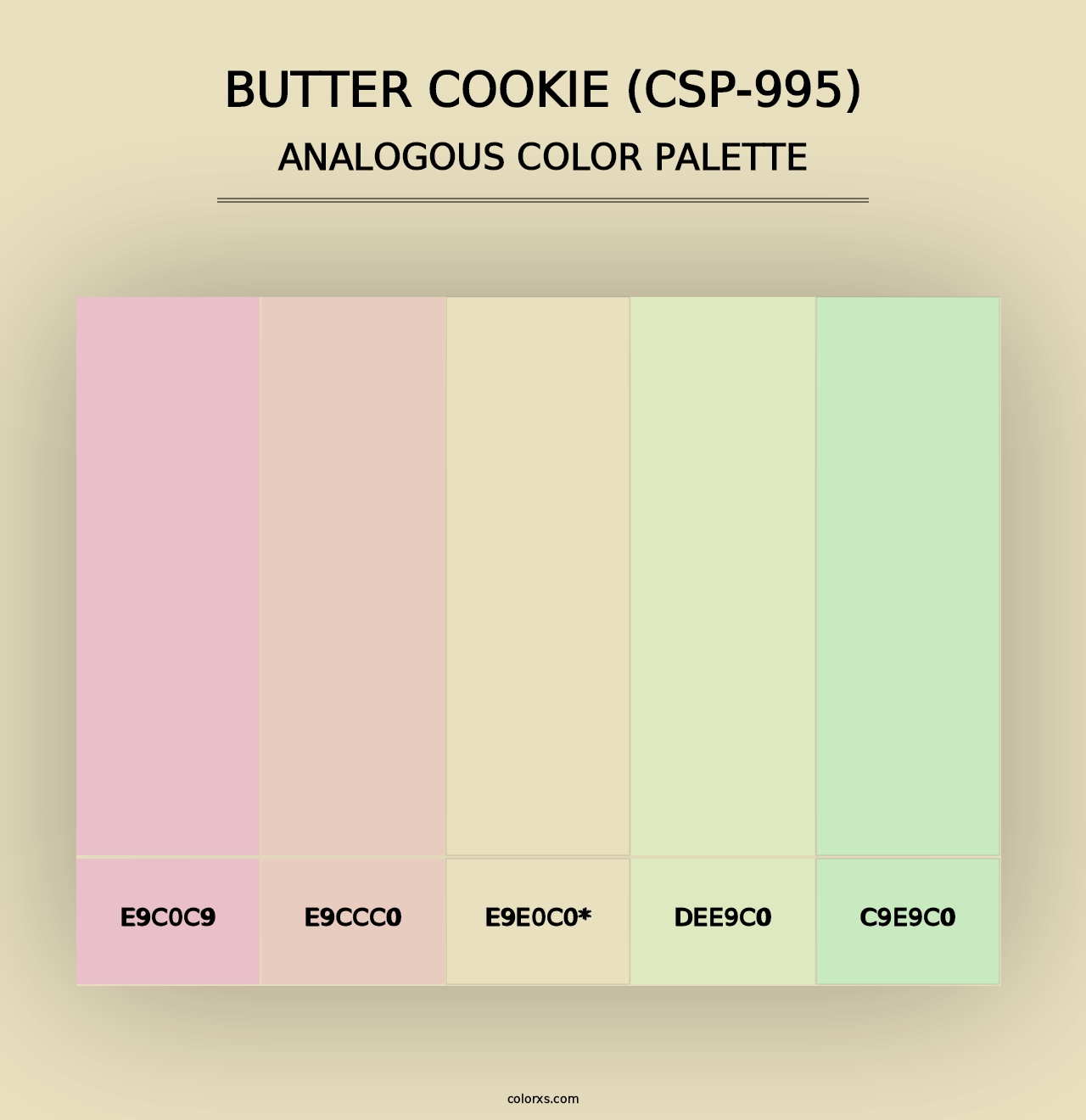 Butter Cookie (CSP-995) - Analogous Color Palette