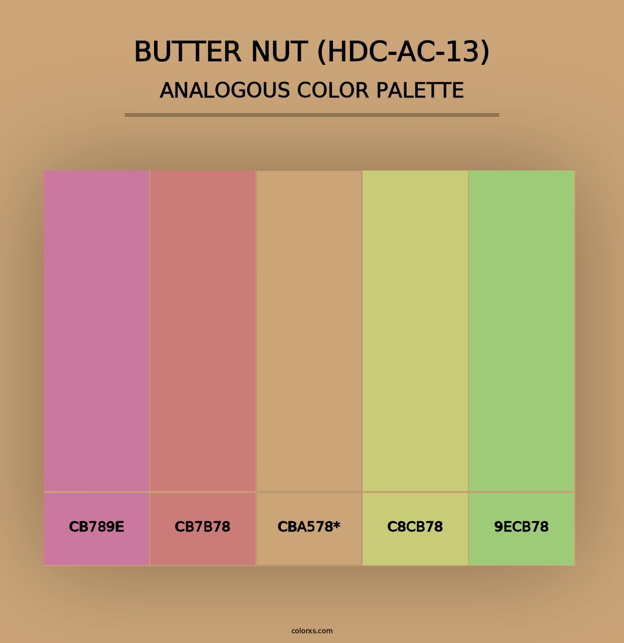 Butter Nut (HDC-AC-13) - Analogous Color Palette