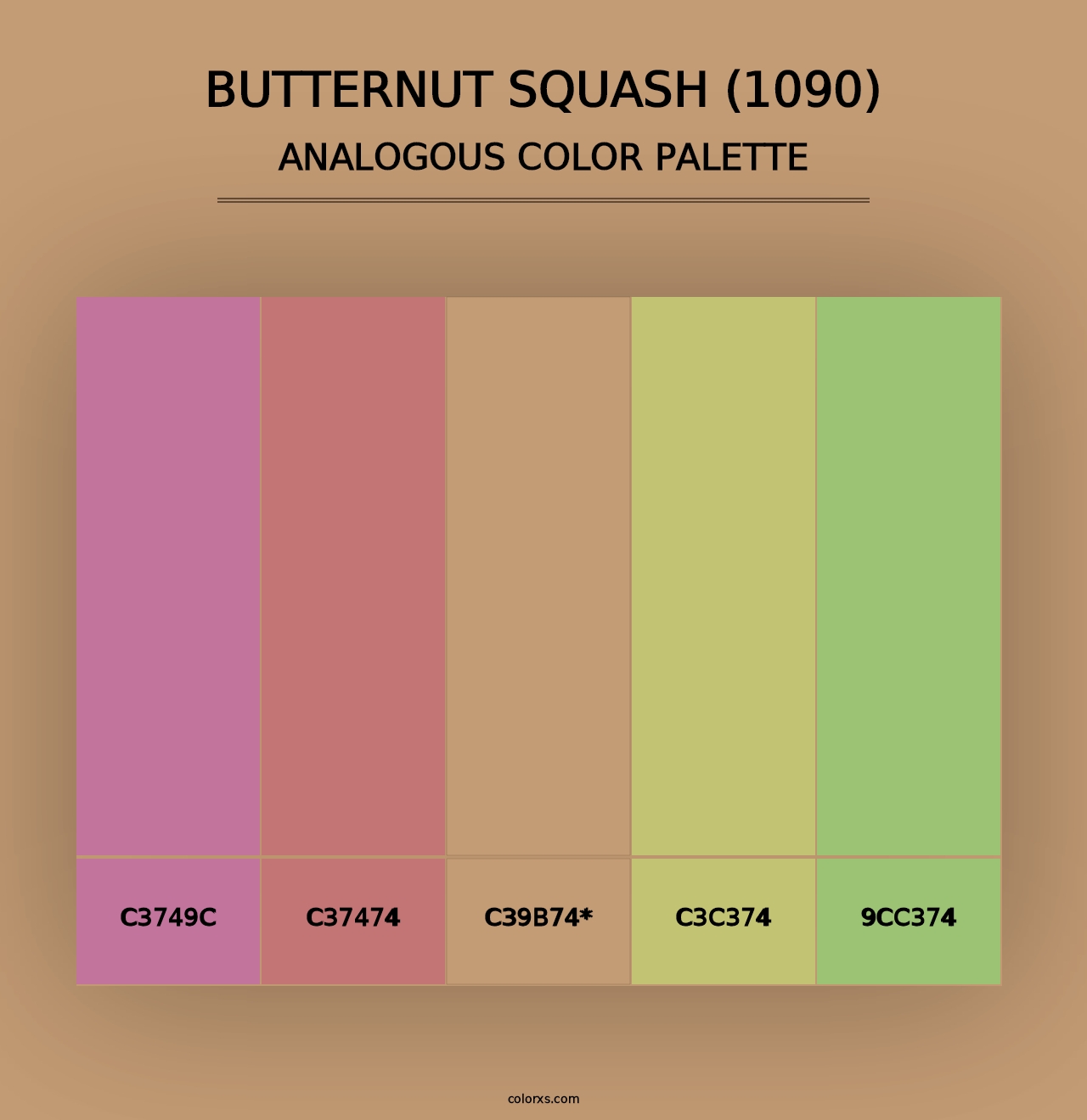 Butternut Squash (1090) - Analogous Color Palette