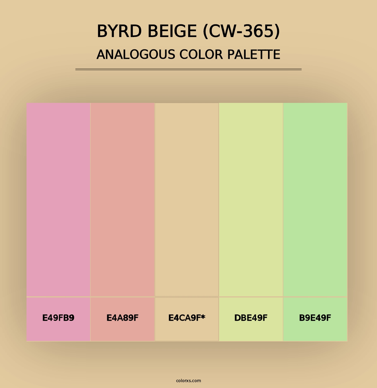 Byrd Beige (CW-365) - Analogous Color Palette