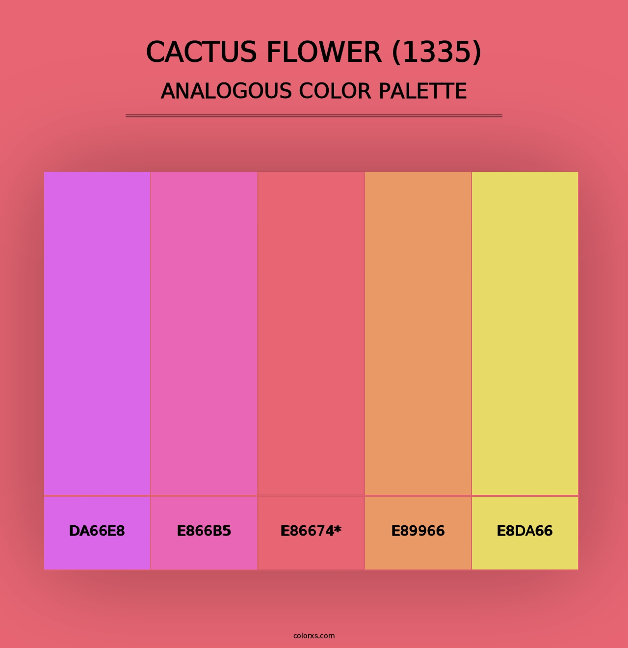 Cactus Flower (1335) - Analogous Color Palette