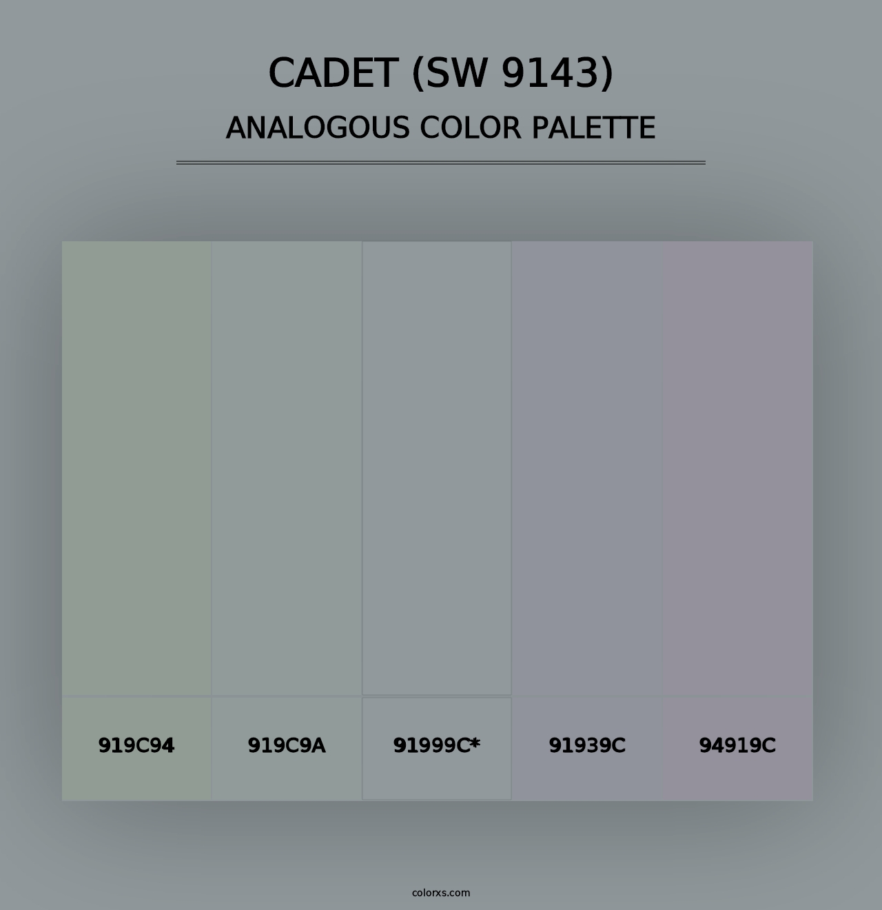 Cadet (SW 9143) - Analogous Color Palette