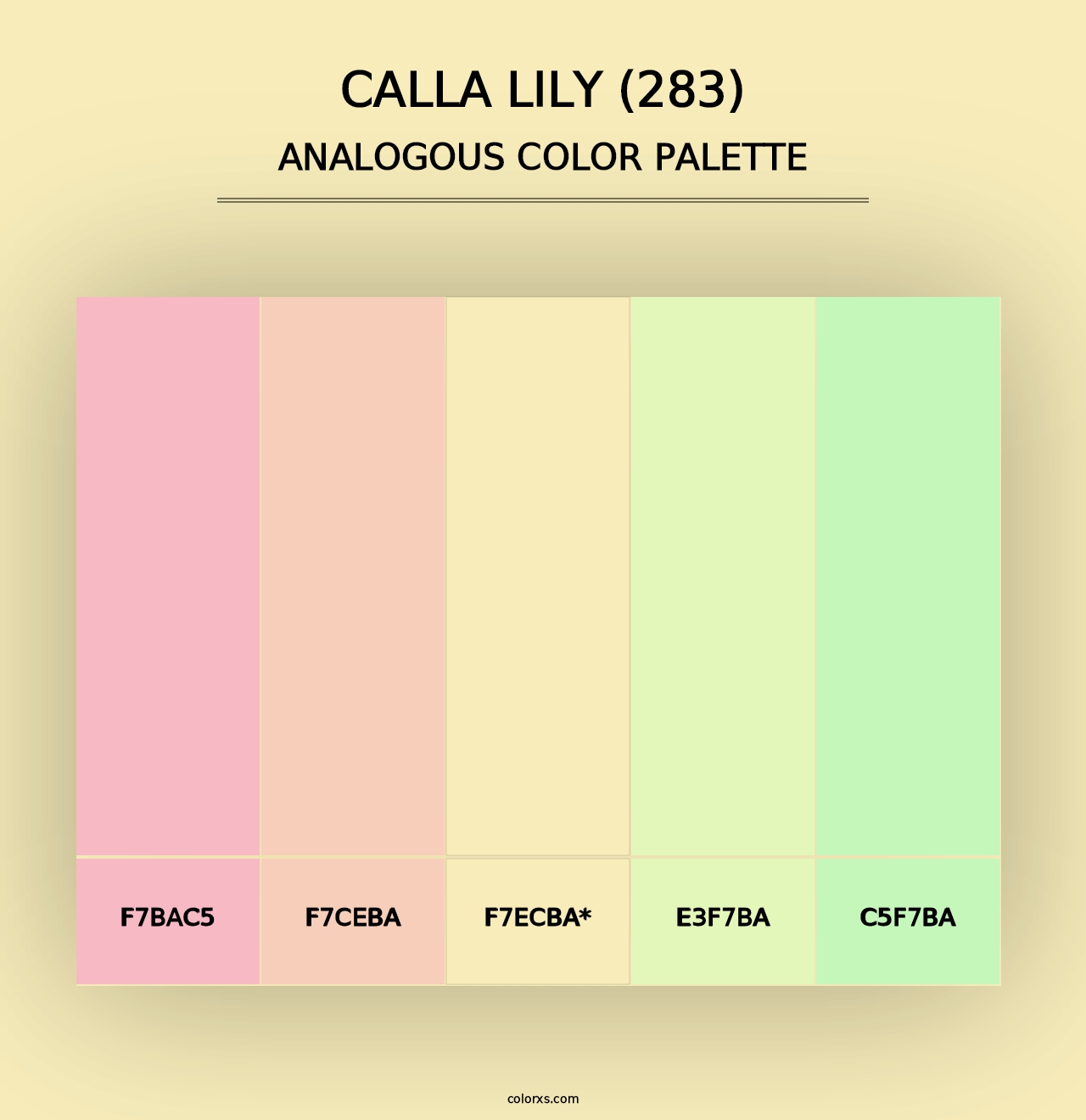 Calla Lily (283) - Analogous Color Palette