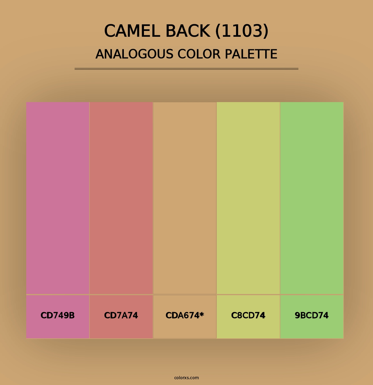 Camel Back (1103) - Analogous Color Palette