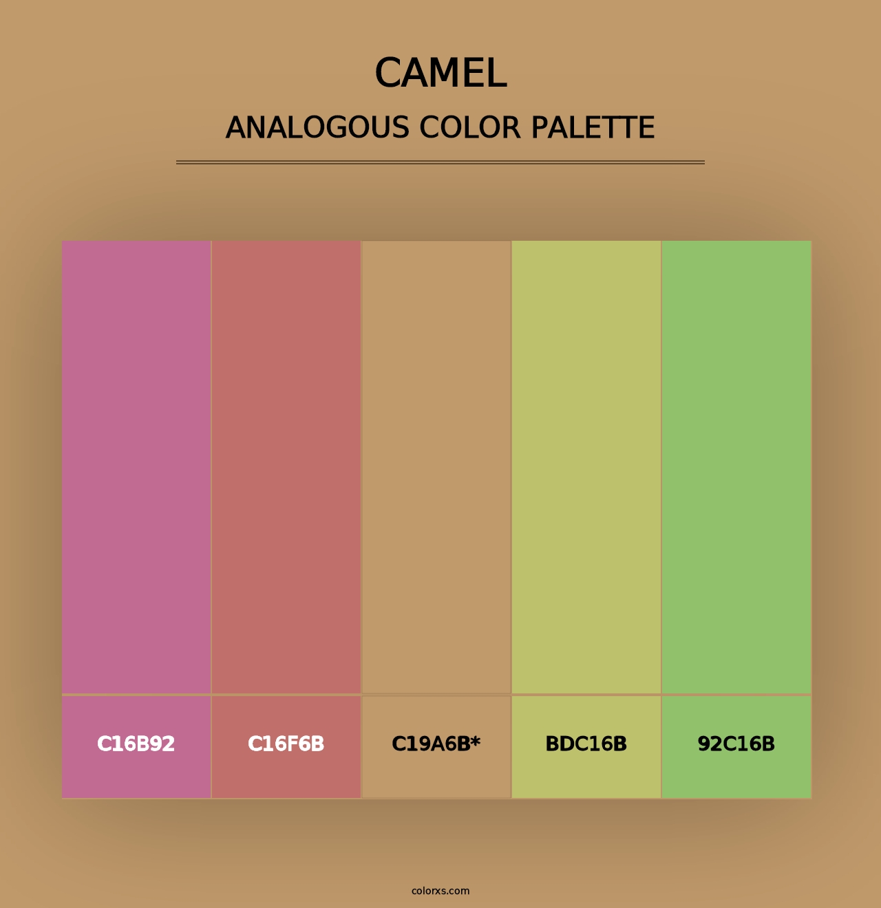 Camel - Analogous Color Palette