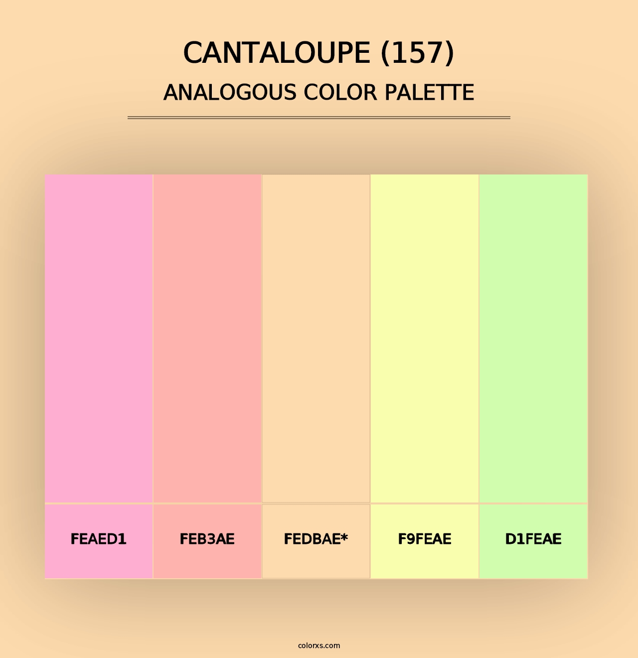 Cantaloupe (157) - Analogous Color Palette