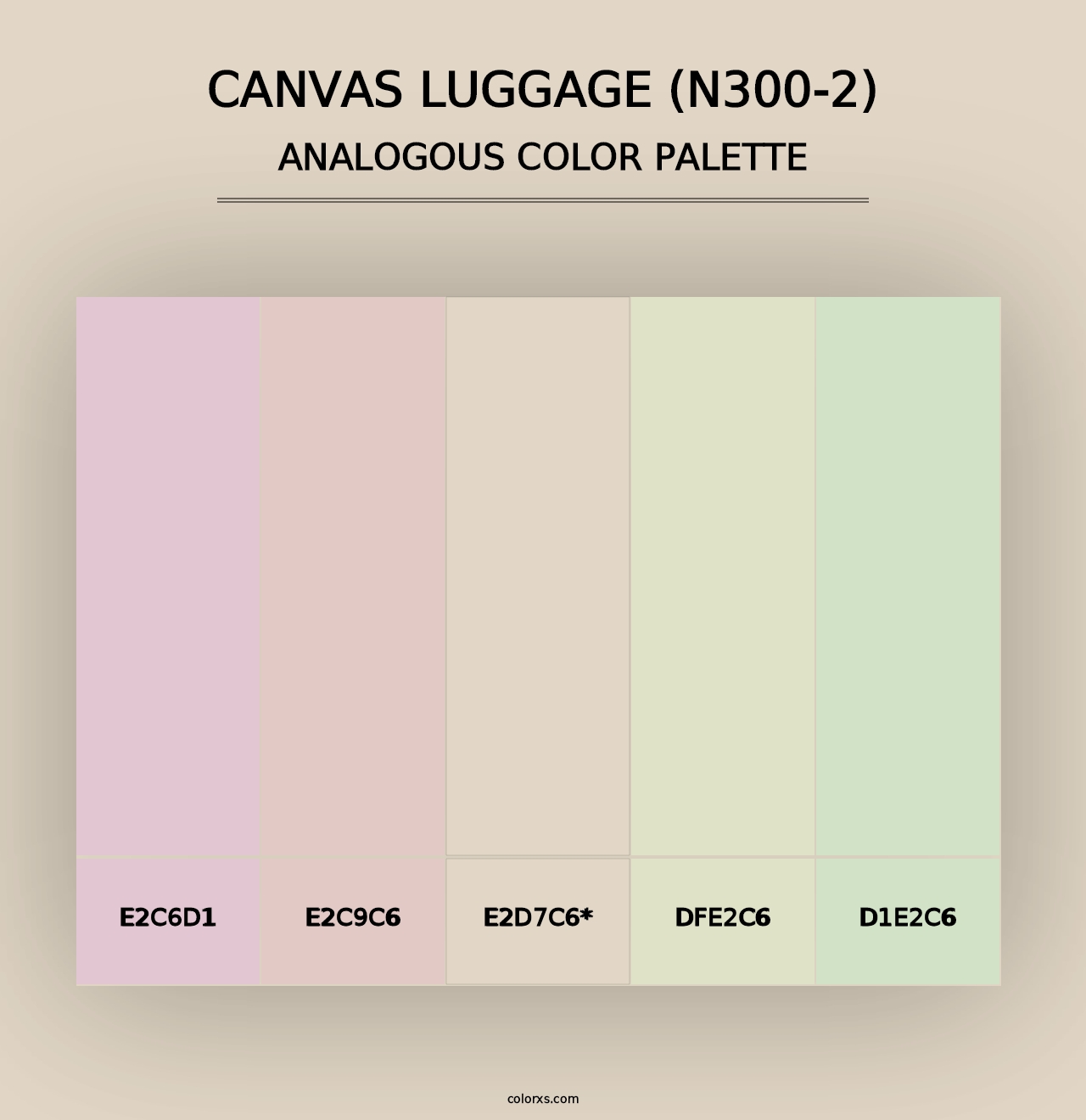 Canvas Luggage (N300-2) - Analogous Color Palette