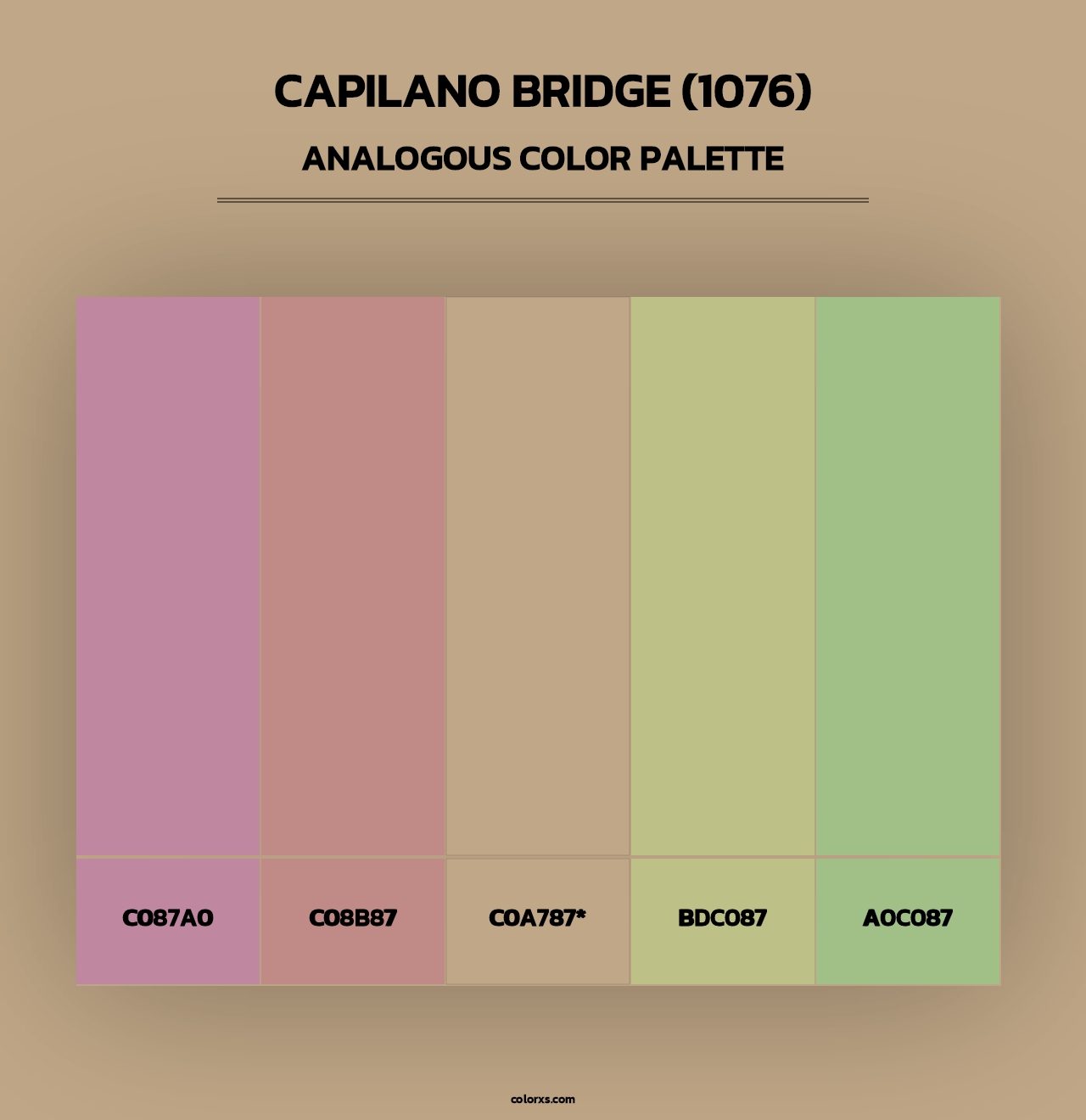 Capilano Bridge (1076) - Analogous Color Palette