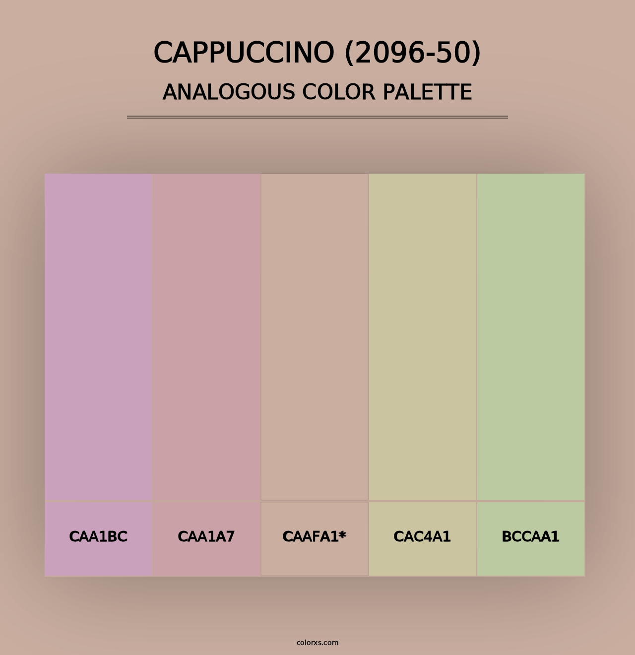 Cappuccino (2096-50) - Analogous Color Palette