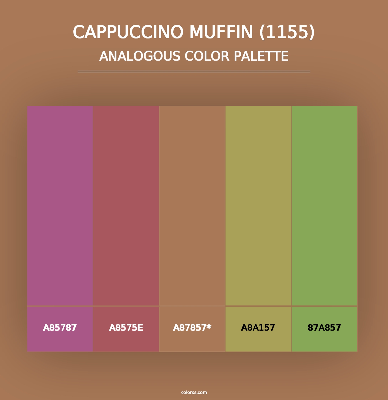 Cappuccino Muffin (1155) - Analogous Color Palette