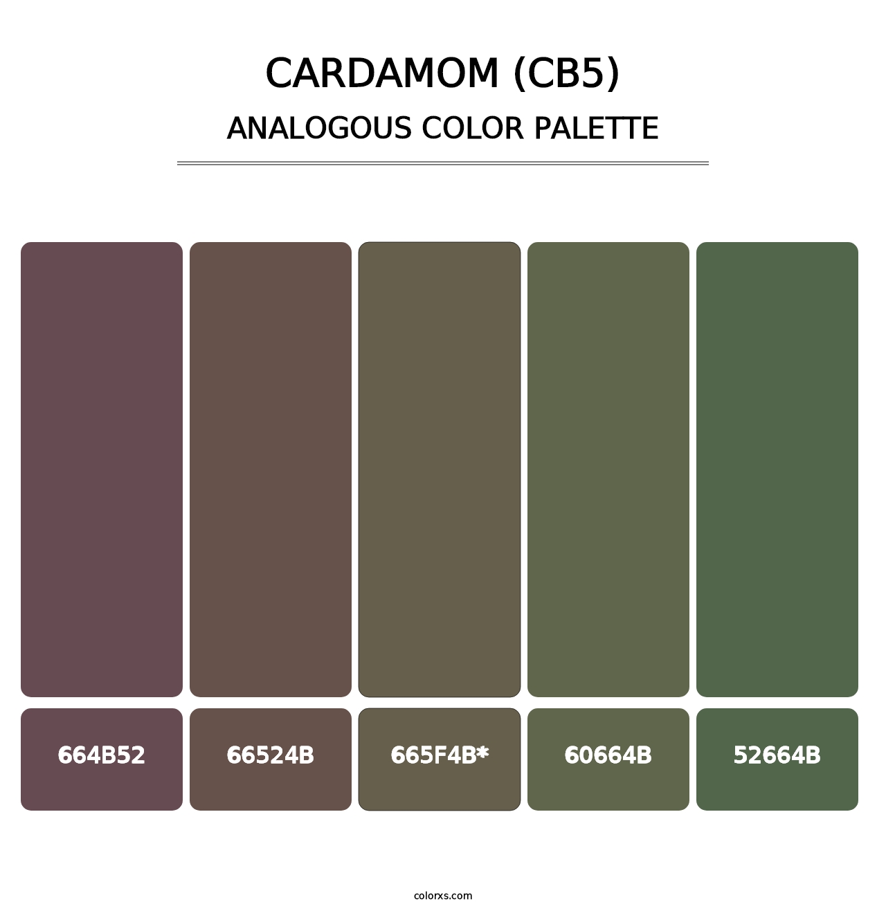 Cardamom (CB5) - Analogous Color Palette