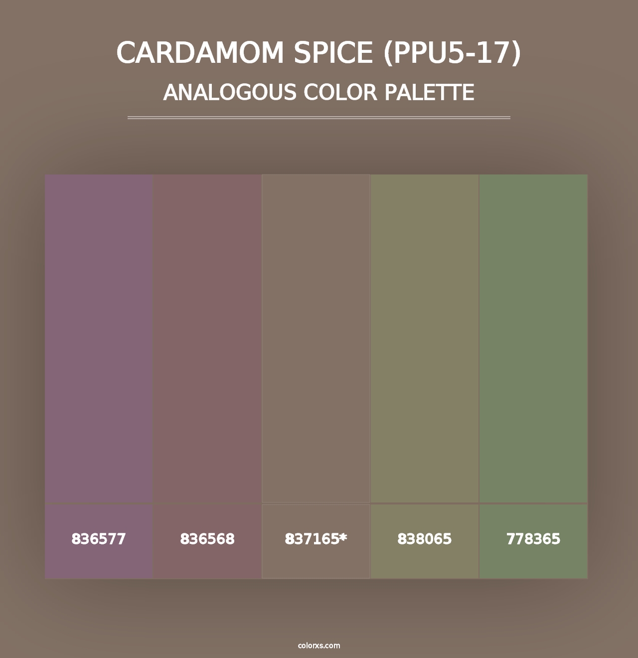 Cardamom Spice (PPU5-17) - Analogous Color Palette