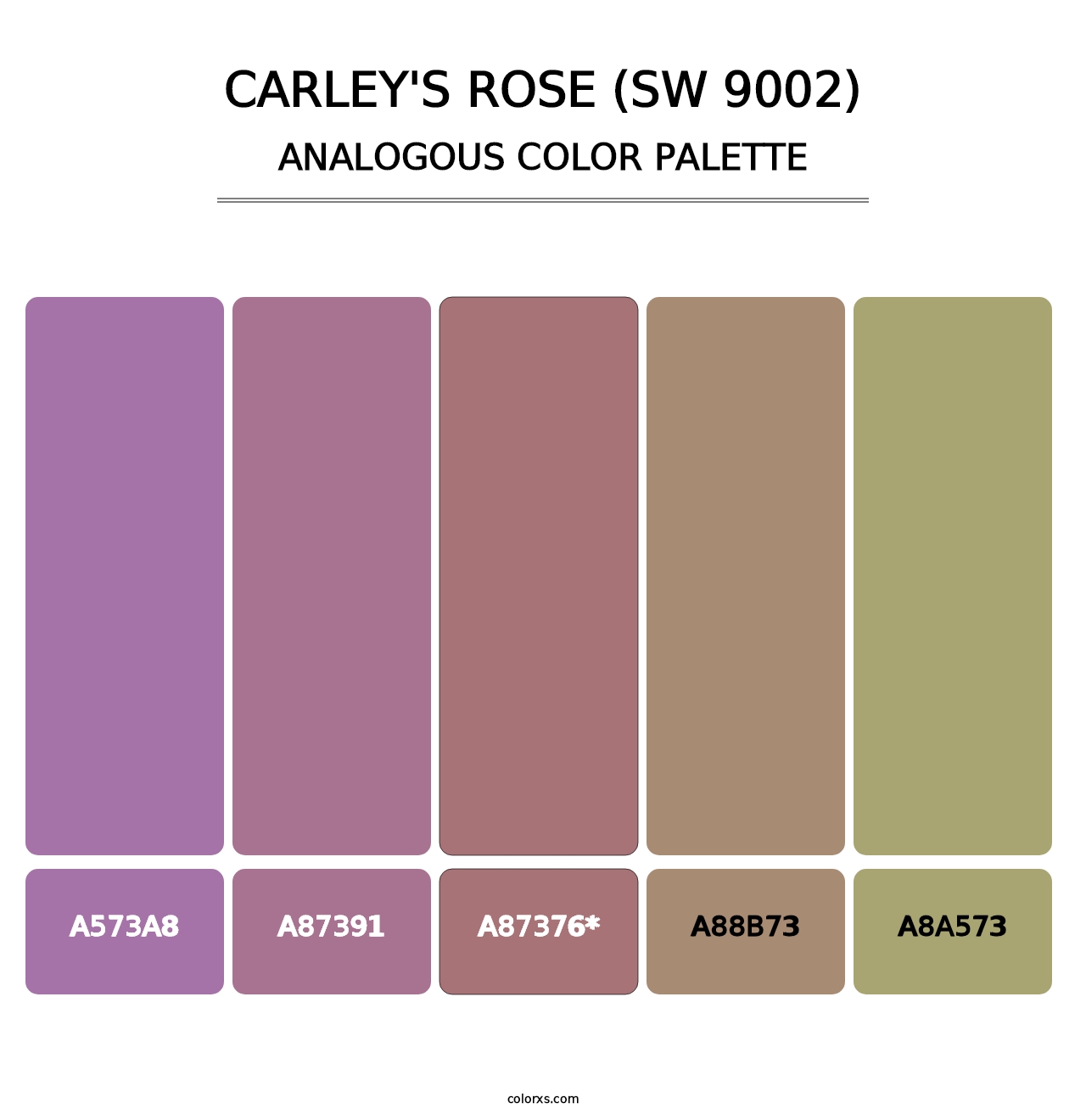 Carley's Rose (SW 9002) - Analogous Color Palette